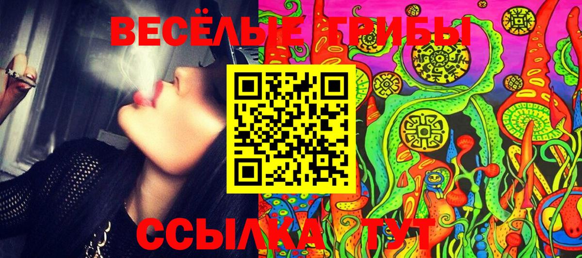 Псилоцибиновые грибы прущие грибы  Галлюциногенные грибы GOLDEN TEACHER  Иркутск  Вход с VPN 